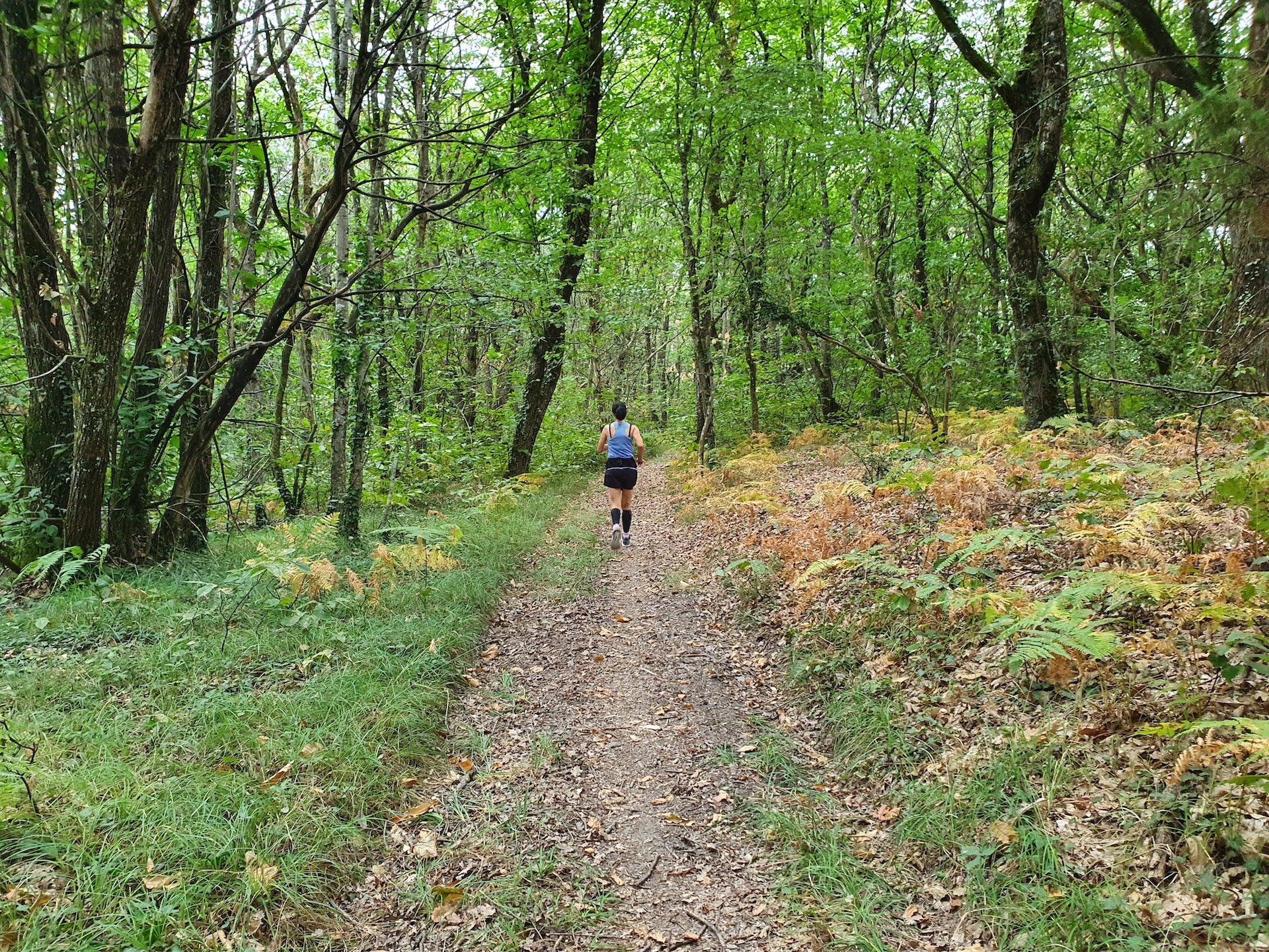 Course guidée