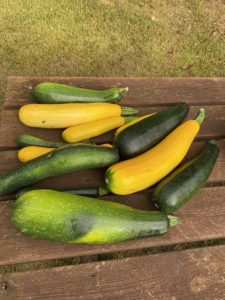 Courgettes